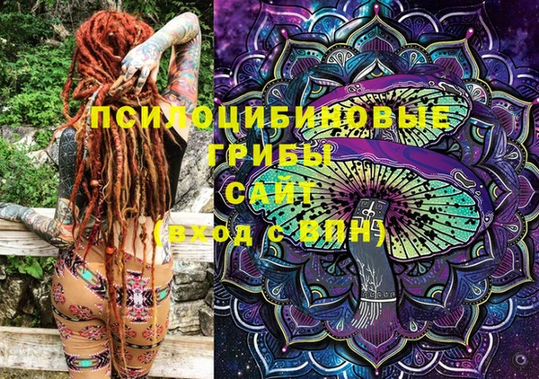 PSILOCYBIN Абаза