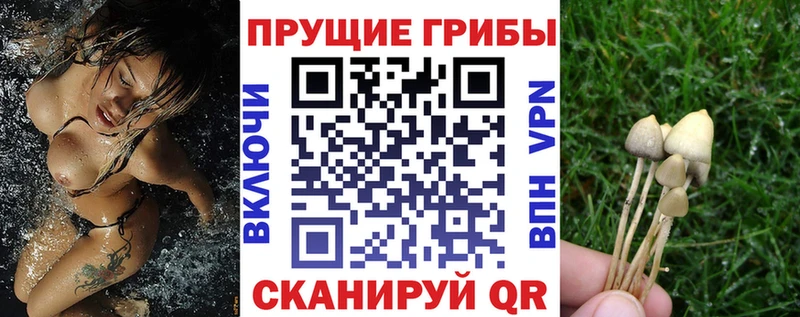 Псилоцибиновые грибы мицелий  как найти закладки  МЕГА как войти  Юхнов 